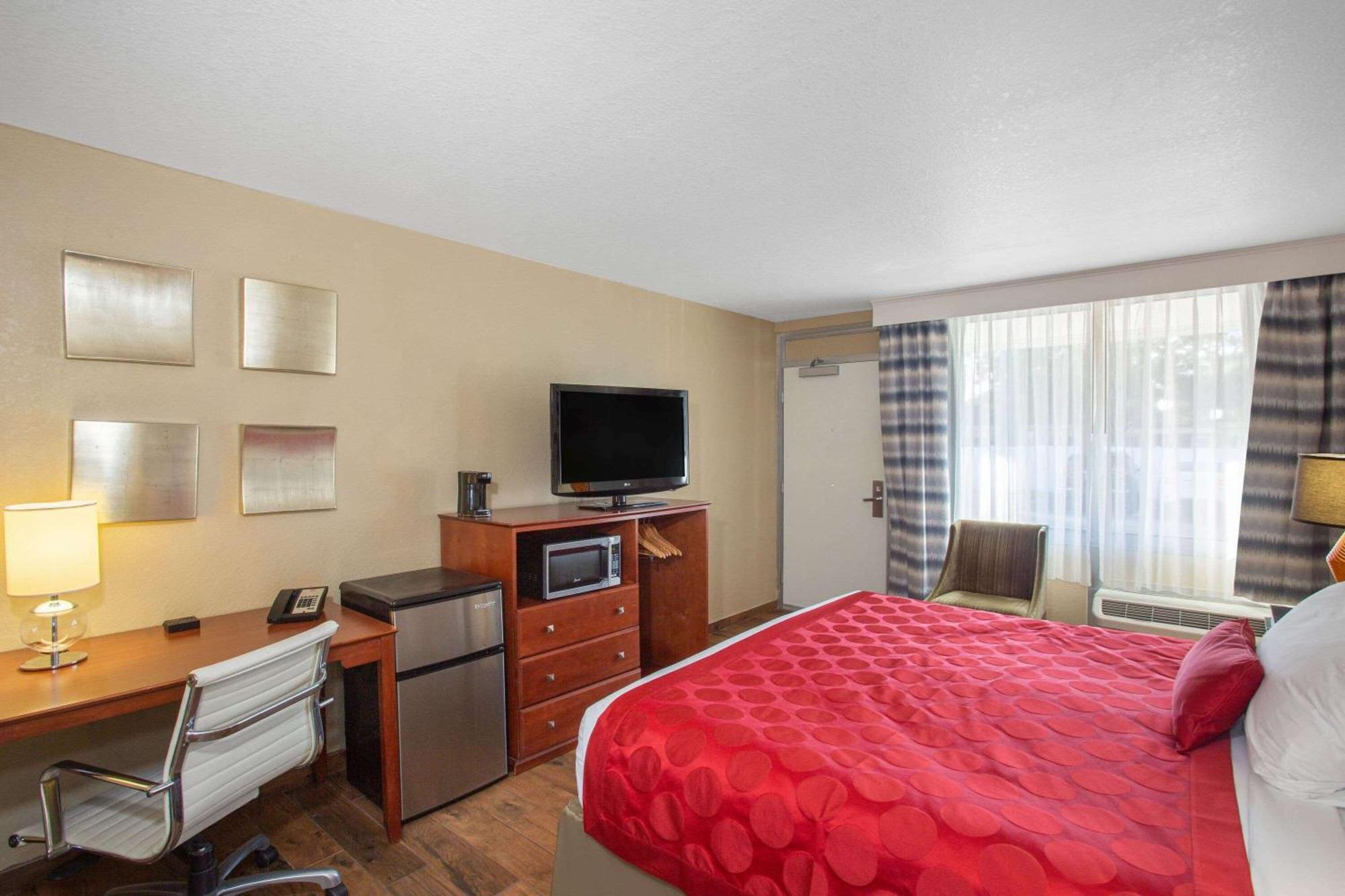 King Room - Mobility Access/Non-Smoking,1276683112:JPEG