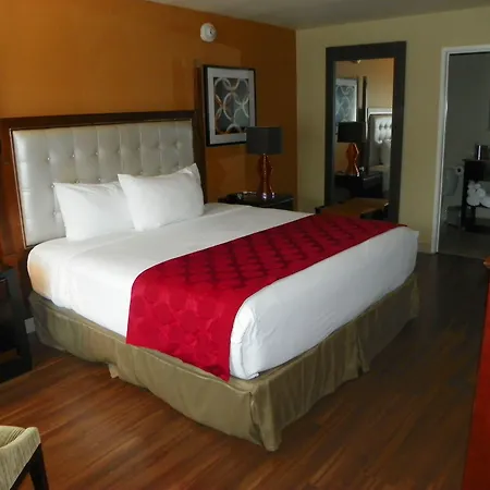 Ramada By Wyndham Venice Hotel Venezia-3